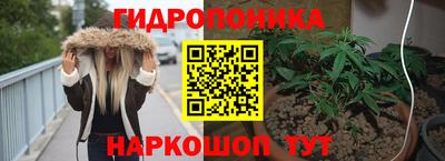 apvp Ипатово