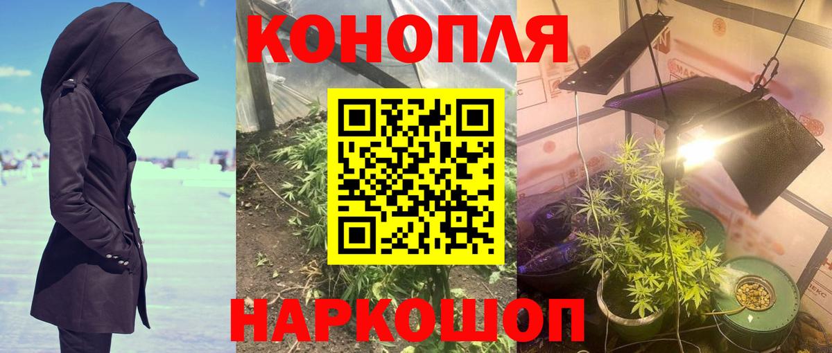 Каннабис White Widow  Вход с VPN  Шишки марихуана марихуана  Кузнецк  Шишки марихуана сатива 