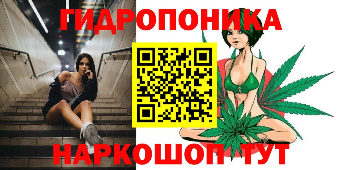Бошки Шишки планчик Кузнецк